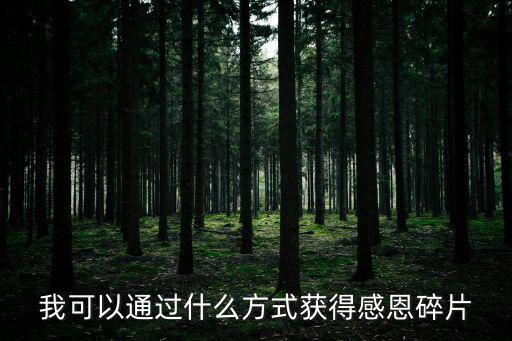 我可以通过什么方式获得感恩碎片