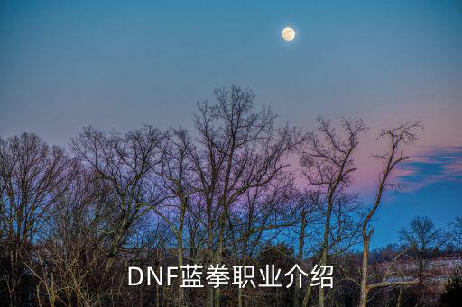 DNF蓝拳职业介绍