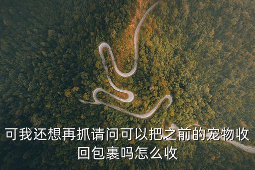 诛仙手游仙府宠物怎么收回包裹，诛仙怎么把宠物放回背包