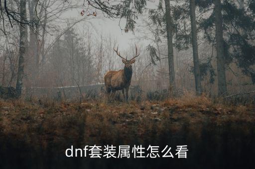 dnf套装属性怎么看