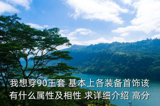 我想穿90王套 基本上各装备首饰该有什么属性及相性 求详细介绍 高分