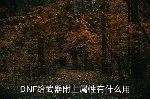 DNF给武器附上属性有什么用