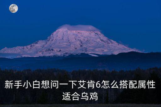新手小白想问一下艾肯6怎么搭配属性适合乌鸡