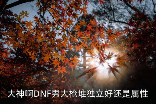 dnf男大枪对什么属性吗，DNF男大枪走什么属性攻击