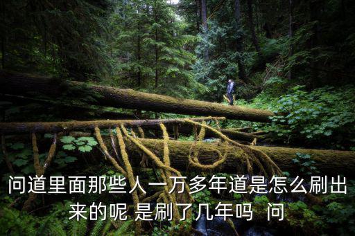 问道里面那些人一万多年道是怎么刷出来的呢 是刷了几年吗 问