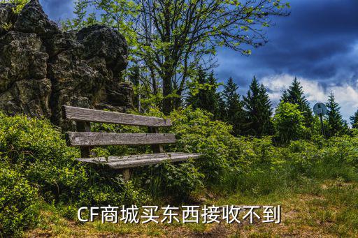 CF商城买东西接收不到