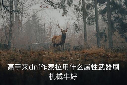高手来dnf作泰拉用什么属性武器刷机械牛好