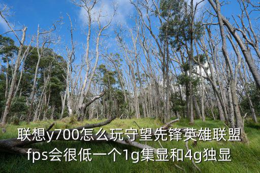 联想y700怎么玩守望先锋英雄联盟fps会很低一个1g集显和4g独显