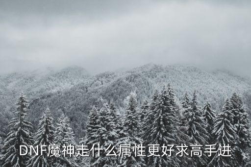 DNF魔神走什么属性更好求高手进