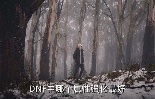 DNF中哪个属性强化最好