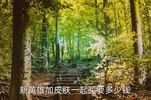 新英雄加皮肤一起买要多少钱