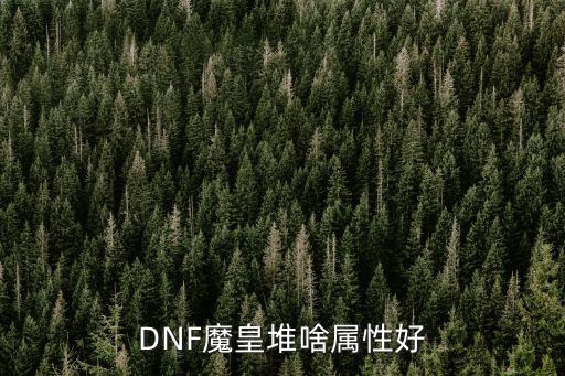 dnf魔皇什么属性强，DNF魔皇 什么属性强化最好