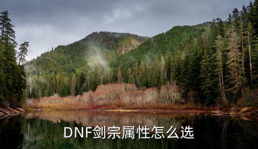 dnf剑宗宝珠选什么属性，dnf剑宗用什么宝珠