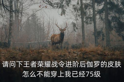 请问下王者荣耀战令进阶后伽罗的皮肤怎么不能穿上我已经75级