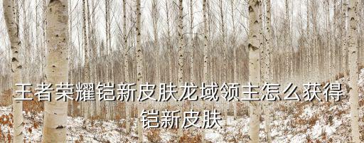王者荣耀铠新皮肤闪现怎么获得，王者荣耀铠在活动界面怎么领取啊