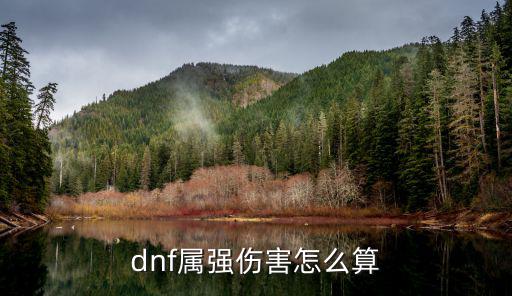 dnf属性伤害属于什么，DNF中技能的伤害值属于物理攻击力还是魔法攻击力的啊  搜