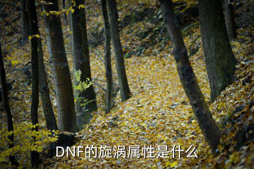 DNF的旋涡属性是什么