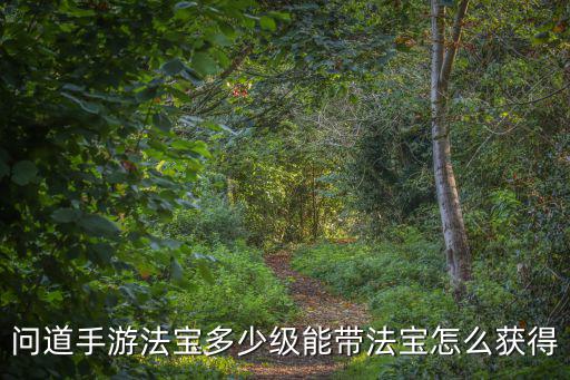 问道手游法宝多少级能带法宝怎么获得