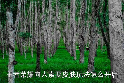 王者荣耀向人索要皮肤玩法怎么开启