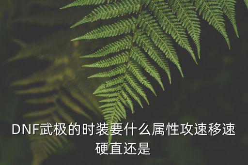 DNF武极的时装要什么属性攻速移速硬直还是