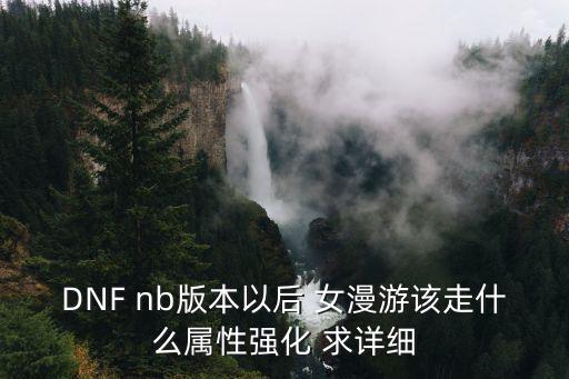 dnf女漫游走什么属性好，DNF nb版本以后 女漫游该走什么属性强化 求详细