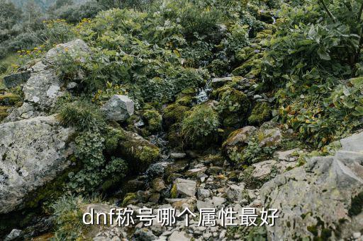 dnf称号加什么属性好，dnf称号哪个属性最好