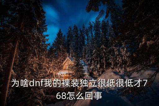 为啥dnf我的裸装独立很低很低才768怎么回事