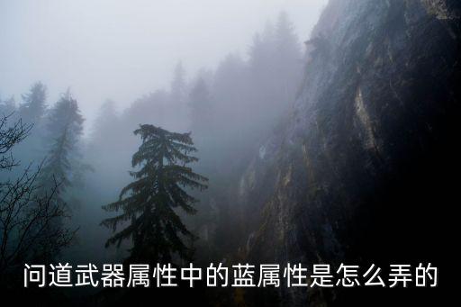 问道武器属性中的蓝属性是怎么弄的
