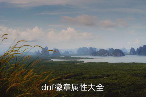 dnf特工微章选什么属性，dnf徽章属性大全