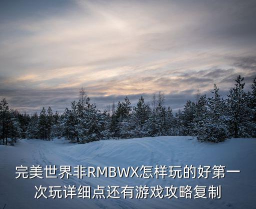 完美世界手游南京怎么玩，完美世界非RMBWX怎样玩的好第一次玩详细点还有游戏攻略复制