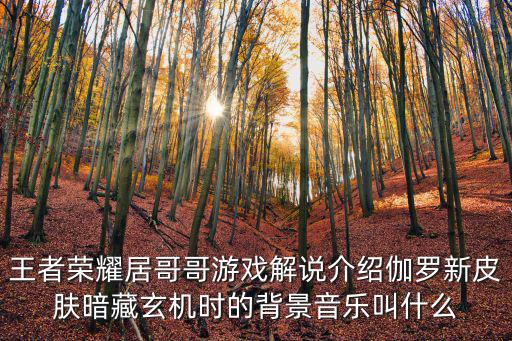 王者荣耀居哥哥游戏解说介绍伽罗新皮肤暗藏玄机时的背景音乐叫什么