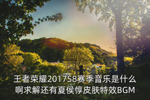 王者荣耀2017S8赛季音乐是什么啊求解还有夏侯惇皮肤特效BGM
