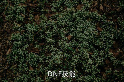 dnf啪啪丁是什么属性，关于DNF中的属性