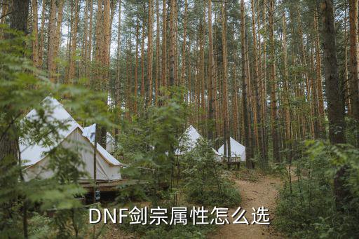 DNF剑宗属性怎么选