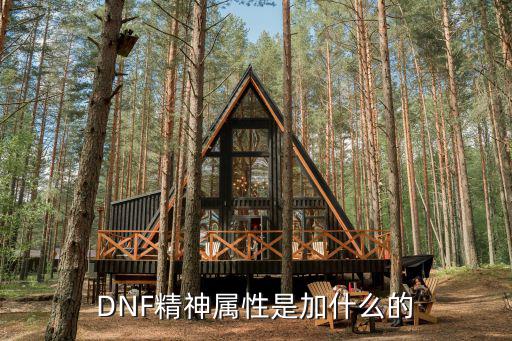 dnf精神奶加什么属性，dnf精神体力智力我是纯辅助奶爸应该把什么堆高呢