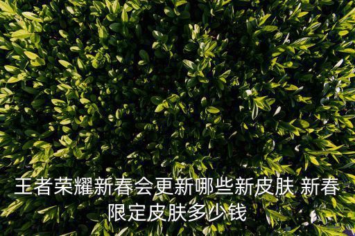 王者荣耀新春会更新哪些新皮肤 新春限定皮肤多少钱
