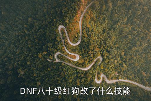 dnf斗气红狗改什么属性，DNF八十级红狗改了什么技能