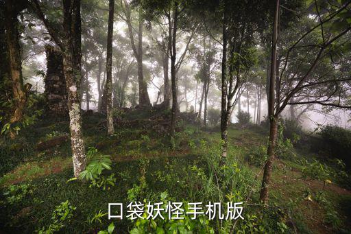 口袋妖怪手机版