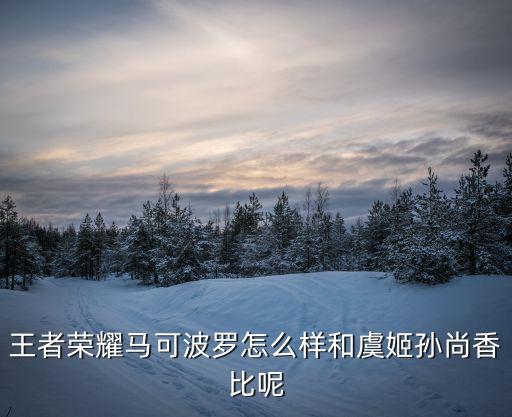 王者荣耀马可波罗怎么样和虞姬孙尚香比呢