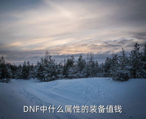 dnf什么属性避玉邪值钱，DNF的装备什么属性值钱在哪里爆希望有人能够帮我解答这个疑问