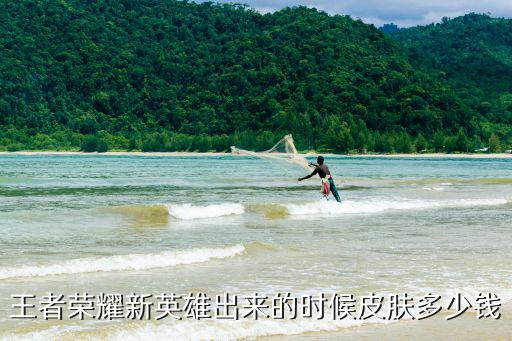王者荣耀新皮肤专场秀多少钱，王者荣耀战士夏侯惇新皮肤多少钱 乘风破浪价钱介绍