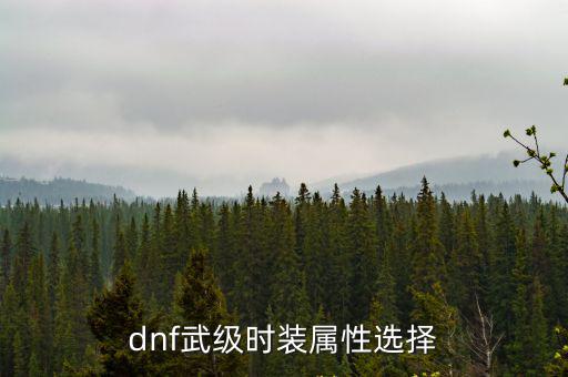 dnf武级时装属性选择