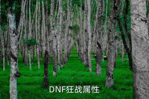 DNF狂战属性