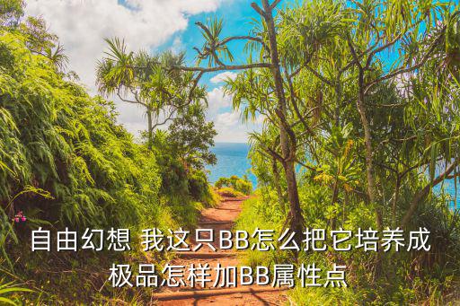 自由幻想 我这只BB怎么把它培养成极品怎样加BB属性点