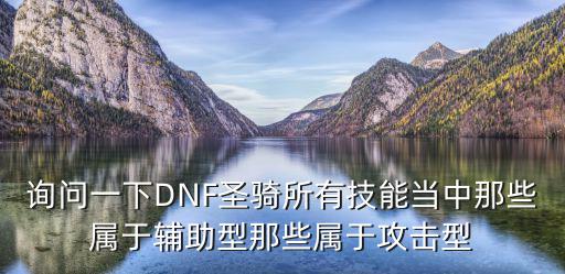 询问一下DNF圣骑所有技能当中那些属于辅助型那些属于攻击型