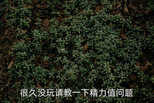 塞尔达手游怎么提高精神值，很久没玩请教一下精力值问题