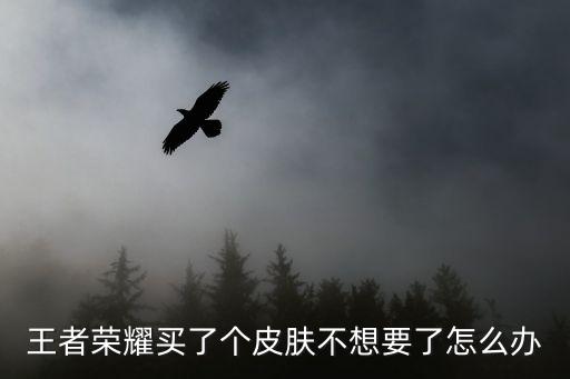 王者荣耀买了个皮肤不想要了怎么办