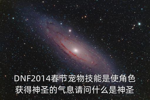 DNF2014春节宠物技能是使角色获得神圣的气息请问什么是神圣