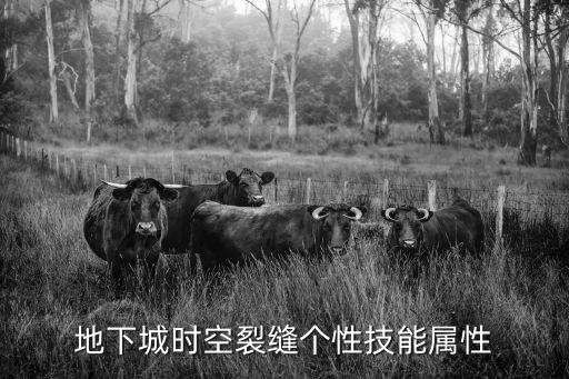 地下城时空裂缝个性技能属性