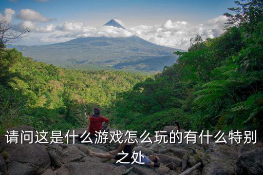 请问这是什么游戏怎么玩的有什么特别之处